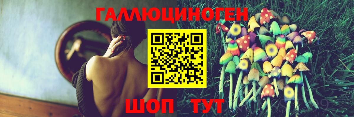 Свободный  Галлюциногенные грибы Psilocybine cubensis  купить закладку  Вход с VPN  Галлюциногенные грибы Psilocybine cubensis 